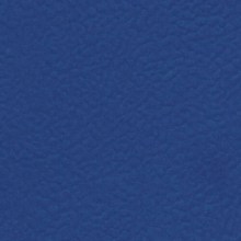 Спортивное покрытие Teraflex коллекция Performance цвет синий